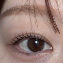 세븐일레븐 신림허브그린점 | 신림역 속눈썹펌) 바이유뷰티 역대급 대만족 재방문 추천 후기