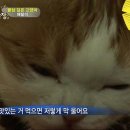 상귀농장
