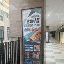 네일모행