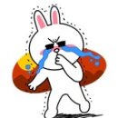 코니