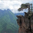 설악산 석황사골 '별빛 속으로' 이미지