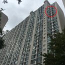 당리동-19 이미지