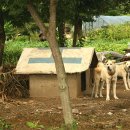 구암3리 이미지