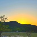 담쟁이 작은도서관 | 서울대학교 관악캠퍼스 산책 하루 여행 후기