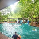 곰골산촌 | 광양 곰골산촌 계곡 물놀이 수영장 메뉴와 후기 준비물