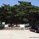 흥덕왕릉 화장실 이미지