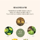 모아팜5 이미지