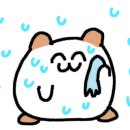 고우넷치과교정과치과의원 이미지