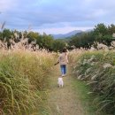 로빈크리닝 이미지