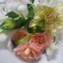 도심속작은자연flos