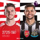 뉴캐슬PC 이미지