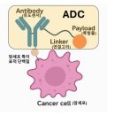 삼성메디케어 | 2021년의 '정석'에 2026년의 '현실'을 더하다: 바이오 투자 입문과 최신 동향