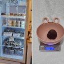 디베이크샵(DBAKESHOP) | 대구두쫀쿠 명가, 디베이크샵 내돈 내산 솔직후기