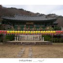 금강암 - 1415 | 금강암
