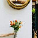 용산-이촌-223 이미지