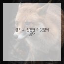 머리이야기 - 부산진구 초읍동 | 머리이야기