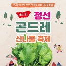 정선의달게스트하우스