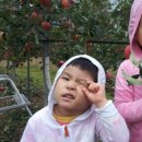 쌍둥이농장 이미지