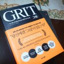 그릿(Grit) 이미지