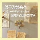 스테이-오롯 이미지