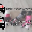 스타펫미팅 네이버블로그