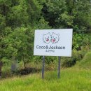 송천현대주유소 이미지