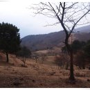 동서목장 이미지