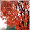 당산3교 이미지