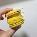 바이러브하니
