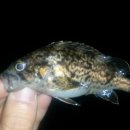 요트경기장 앞 이미지