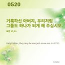 🏤 부활 제7주간 수요일 이미지