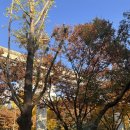 범물근린공원공영주차장 | 👍케이크명장의 생과일케이크 맛집(주차정보 있음)