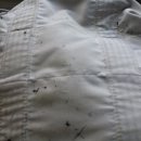 중흥세탁 이미지