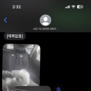 부산펫렛펫택시 네이버블로그