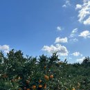 창훈농장 이미지