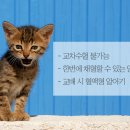 헤어스핑스