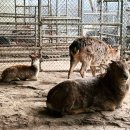 낙양농장 이미지