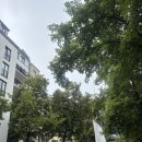 동영사 | 독일 UdK 베를린 패션쇼 후기｜비움스튜디오 출신 졸업생과 재학생들의 성장