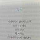 오프오그 이미지