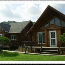 심스캐빈 이미지