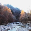 미성종합수지 이미지