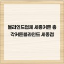 총각블라인드&디자인독 | 블라인드업체 세종커튼 총각커튼블라인드 세종점