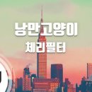 낭만고양이 이미지