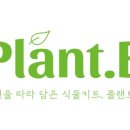 비플랜트