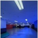 용인대수석태권도 이미지