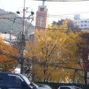 우신프라자약국 이미지