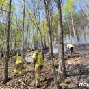 무릉도원면-49 이미지