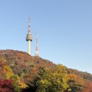 책뜰에도서관 | 서울 단풍명소 추천 남산도서관 남산 하늘뜰