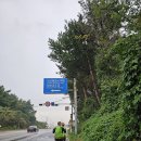 [국도29] 서산시 일람리