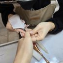 디자인하로아